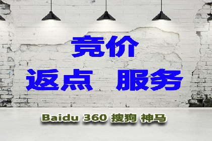 百度搜索推广实战技巧：成功案例启示录